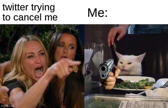 Woman Yelling At Cat Meme | twitter trying to cancel me; Me: | image tagged in memes,woman yelling at cat | made w/ Imgflip meme maker