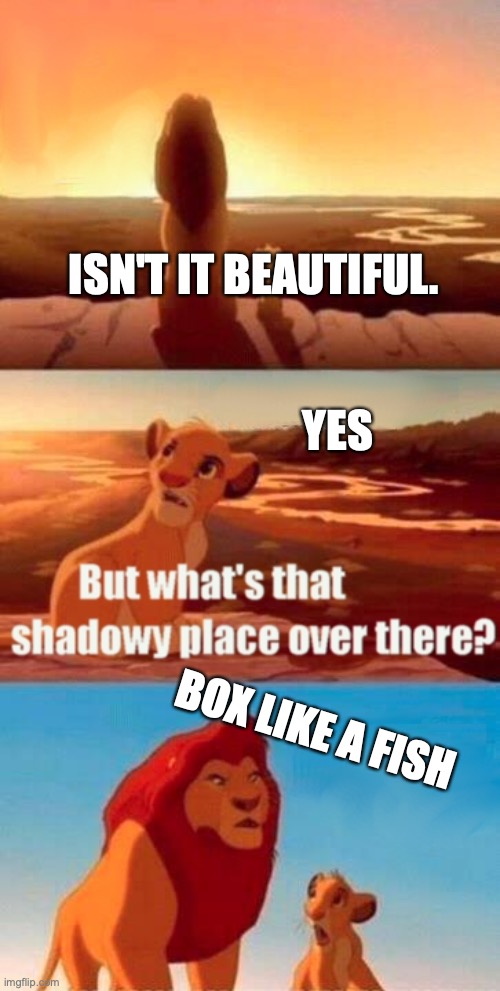 Simba Shadowy Place | ISN'T IT BEAUTIFUL.                                                                 YES; BOX LIKE A FISH | image tagged in memes,simba shadowy place | made w/ Imgflip meme maker