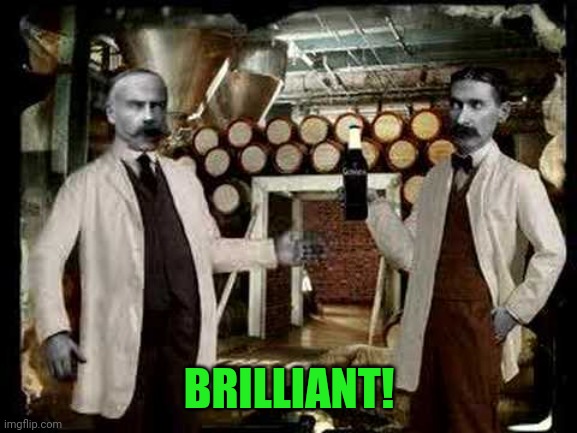 Brilliant! | BRILLIANT! | image tagged in brilliant | made w/ Imgflip meme maker