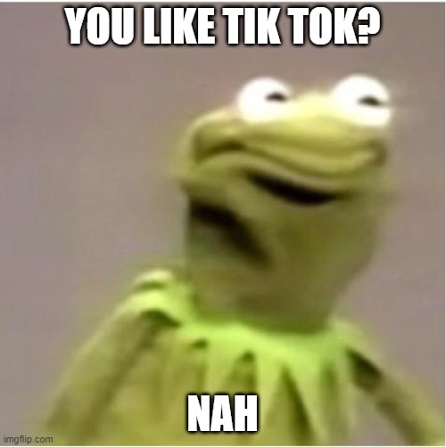 Kirmit Triggerd | YOU LIKE TIK TOK? NAH | image tagged in kirmit triggerd | made w/ Imgflip meme maker