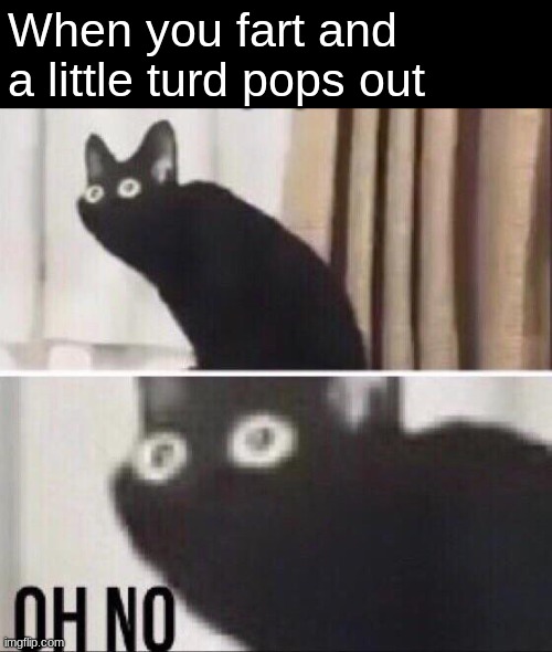 Oh no cat | When you fart and a little turd pops out | image tagged in oh no cat,fart,farts,cats,poop,cat | made w/ Imgflip meme maker