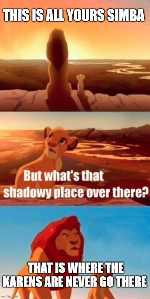 Simba Shadowy Place | THIS IS ALL YOURS SIMBA; THAT IS WHERE THE KARENS ARE NEVER GO THERE | image tagged in memes,simba shadowy place | made w/ Imgflip meme maker