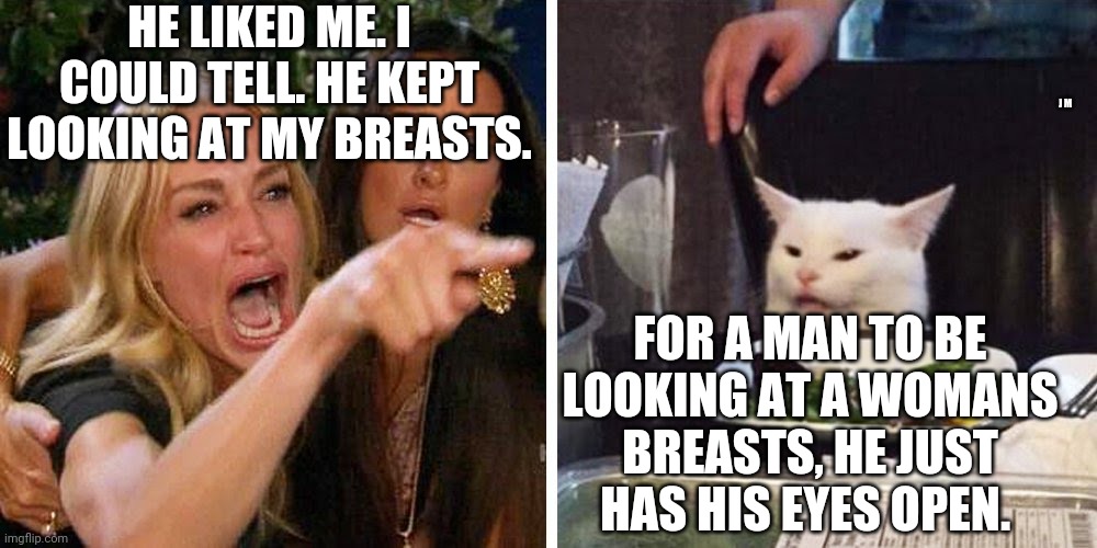 Smudge the cat | HE LIKED ME. I COULD TELL. HE KEPT LOOKING AT MY BREASTS. J M; FOR A MAN TO BE LOOKING AT A WOMANS BREASTS, HE JUST HAS HIS EYES OPEN. | image tagged in smudge the cat | made w/ Imgflip meme maker