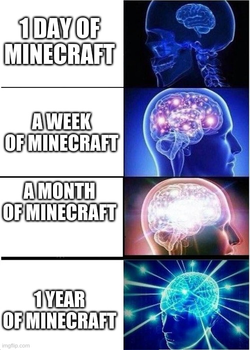 Expanding Brain | 1 DAY OF MINECRAFT; A WEEK OF MINECRAFT; A MONTH OF MINECRAFT; 1 YEAR OF MINECRAFT | image tagged in memes,expanding brain | made w/ Imgflip meme maker