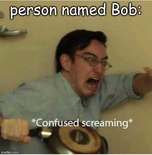 *Confused screaming* (for messaging) | person named Bob: | image tagged in confused screaming for messaging | made w/ Imgflip meme maker