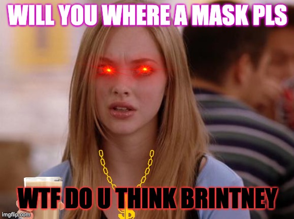 OMG Karen | WILL YOU WHERE A MASK PLS; WTF DO U THINK BRINTNEY | image tagged in memes,omg karen | made w/ Imgflip meme maker