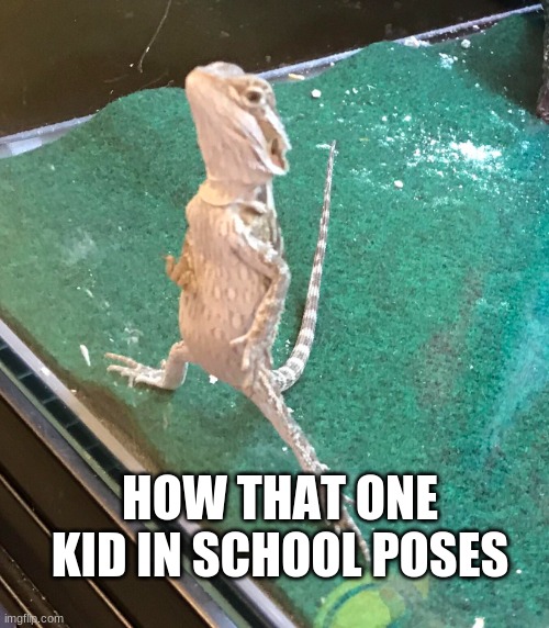 HOW THAT ONE KID IN SCHOOL POSES | made w/ Imgflip meme maker