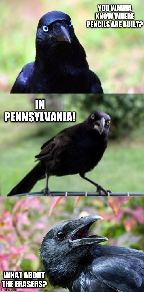 bad pun crow | YOU WANNA KNOW WHERE PENCILS ARE BUILT? IN PENNSYLVANIA! WHAT ABOUT THE ERASERS? | image tagged in bad pun crow | made w/ Imgflip meme maker