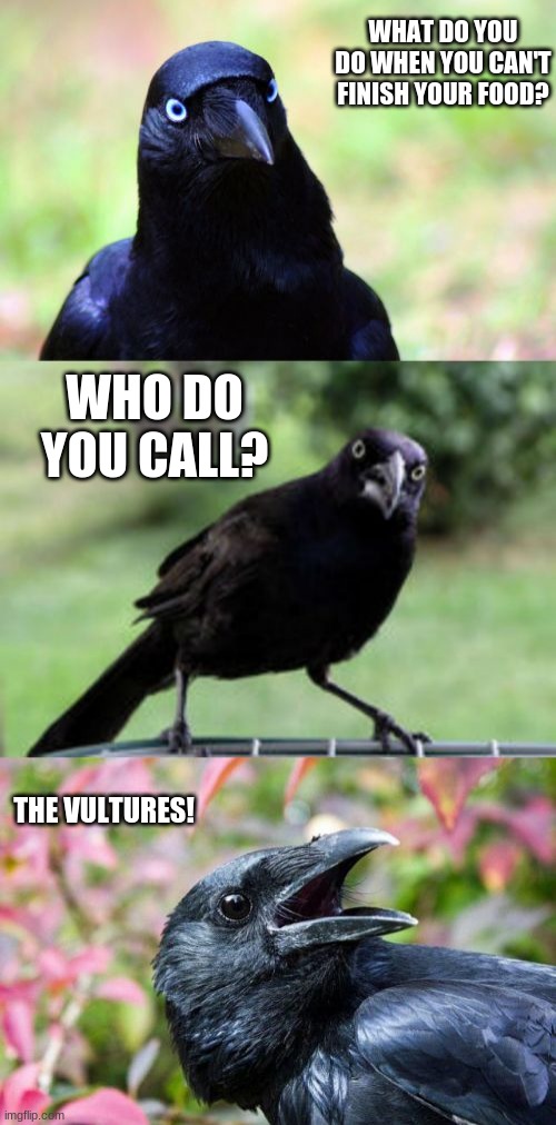 bad pun crow | WHAT DO YOU DO WHEN YOU CAN'T FINISH YOUR FOOD? WHO DO YOU CALL? THE VULTURES! | image tagged in bad pun crow | made w/ Imgflip meme maker