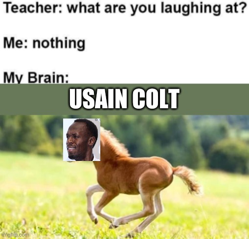My brain: Usain Colt | USAIN COLT | image tagged in fun,lol,lol so funny,funny memes,funny meme,too funny | made w/ Imgflip meme maker