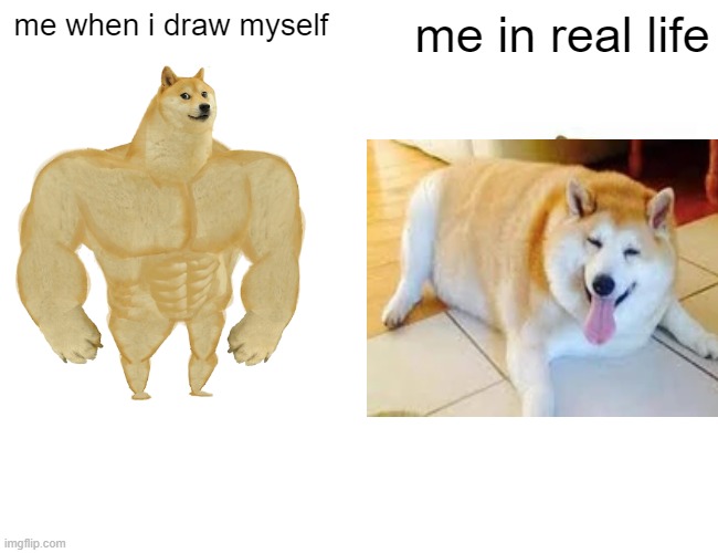 Me in |  me when i draw myself; me in real life | image tagged in memes,buff doge vs cheems | made w/ Imgflip meme maker