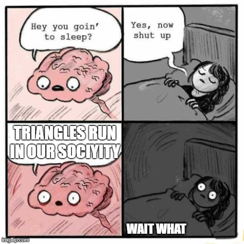 Hey you going to sleep? | TRIANGLES RUN IN OUR SOCIYITY; WAIT WHAT | image tagged in hey you going to sleep | made w/ Imgflip meme maker
