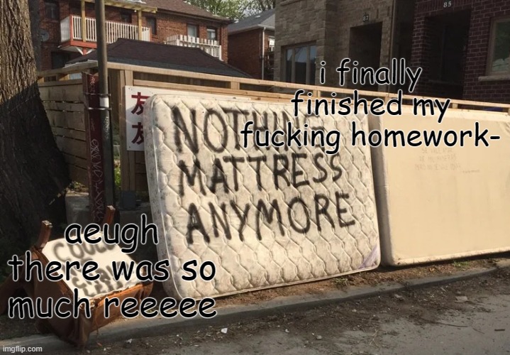 nothing mattress anymore | i finally finished my fucking homework-; aeugh there was so much reeeee | image tagged in nothing mattress anymore | made w/ Imgflip meme maker