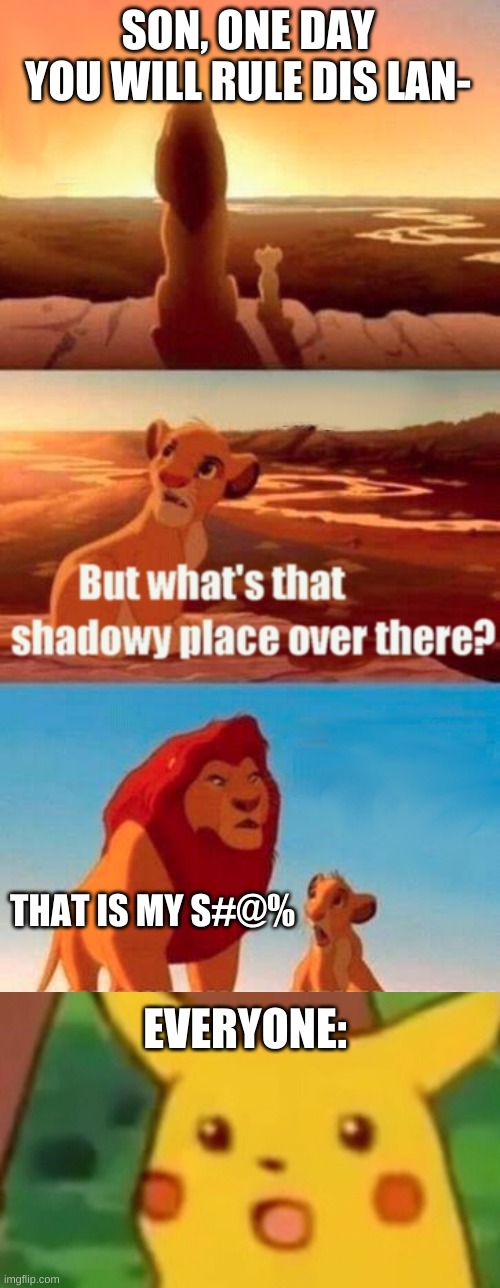 dis land is special | SON, ONE DAY YOU WILL RULE DIS LAN-; THAT IS MY S#@%; EVERYONE: | image tagged in memes,simba shadowy place | made w/ Imgflip meme maker