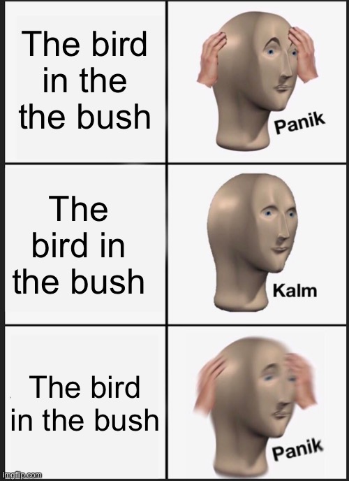 The the | The bird in the the bush; The bird in the bush; The bird in the bush | image tagged in memes,panik kalm panik | made w/ Imgflip meme maker