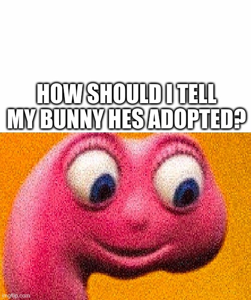 How? | HOW SHOULD I TELL MY BUNNY HES ADOPTED? | image tagged in help | made w/ Imgflip meme maker