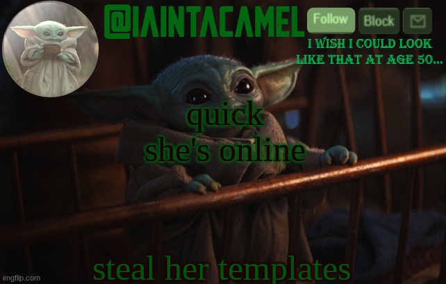 iaintacamel | quick
she's online; steal her templates | image tagged in iaintacamel | made w/ Imgflip meme maker