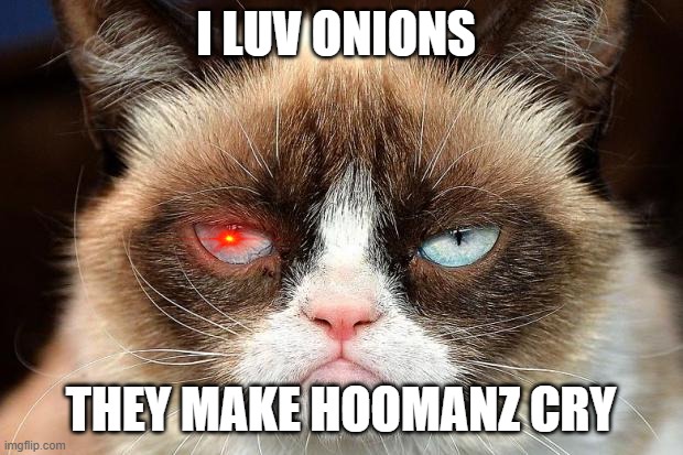 Grumpy Cat Not Amused Meme | I LUV ONIONS; THEY MAKE HOOMANZ CRY | image tagged in memes,grumpy cat not amused,grumpy cat | made w/ Imgflip meme maker