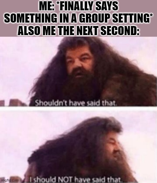 Shouldn't have said that | ME: *FINALLY SAYS SOMETHING IN A GROUP SETTING*
ALSO ME THE NEXT SECOND: | image tagged in shouldn't have said that | made w/ Imgflip meme maker