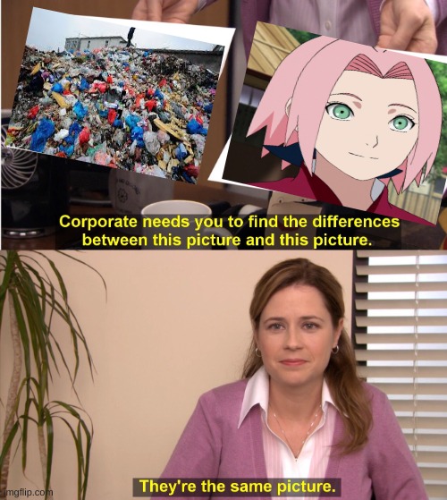 They're The Same Picture | ; | image tagged in memes,they're the same picture | made w/ Imgflip meme maker