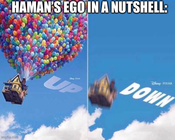 Esther is full of twists and turns | HAMAN’S EGO IN A NUTSHELL: | image tagged in up and down | made w/ Imgflip meme maker