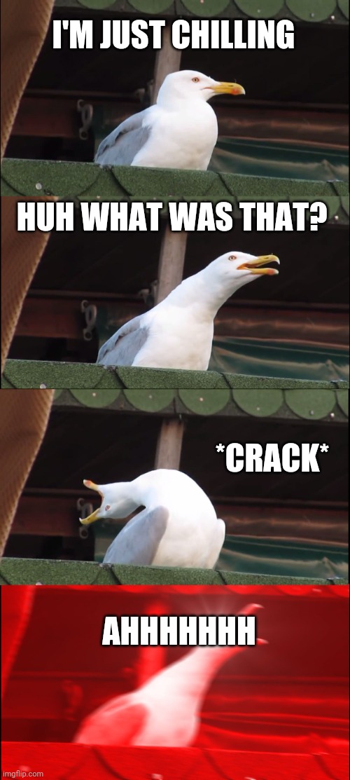 *crack* | I'M JUST CHILLING; HUH WHAT WAS THAT? *CRACK*; AHHHHHHH | image tagged in memes,inhaling seagull | made w/ Imgflip meme maker