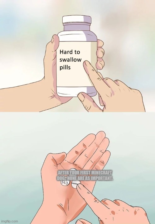 Hard To Swallow Pills Meme | AFTER YOUR FIRST MINECRAFT DOG.. NONE ARE AS IMPORTANT. | image tagged in memes,hard to swallow pills | made w/ Imgflip meme maker
