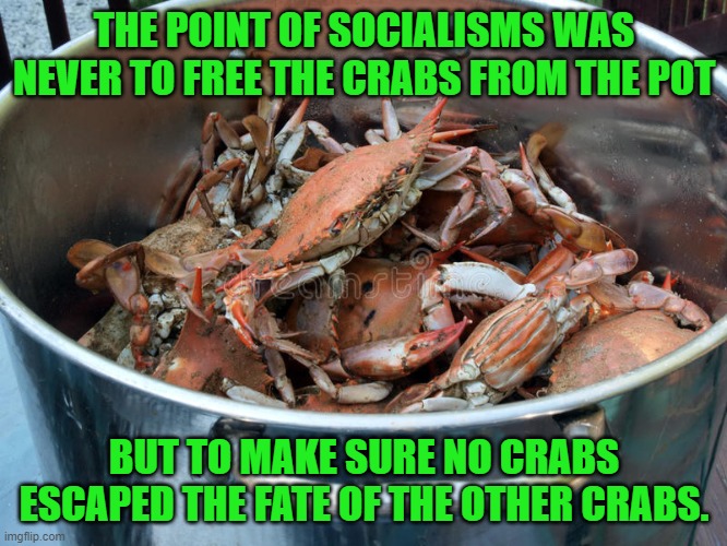 yep | THE POINT OF SOCIALISMS WAS NEVER TO FREE THE CRABS FROM THE POT; BUT TO MAKE SURE NO CRABS ESCAPED THE FATE OF THE OTHER CRABS. | image tagged in socialism,democrats,communism,hypocrisy | made w/ Imgflip meme maker