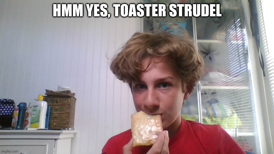 strudel | HMM YES, TOASTER STRUDEL | image tagged in yum,much tasty,delicious | made w/ Imgflip meme maker
