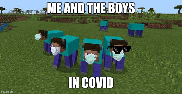me and the boys | ME AND THE BOYS; IN COVID | image tagged in me and the boys | made w/ Imgflip meme maker