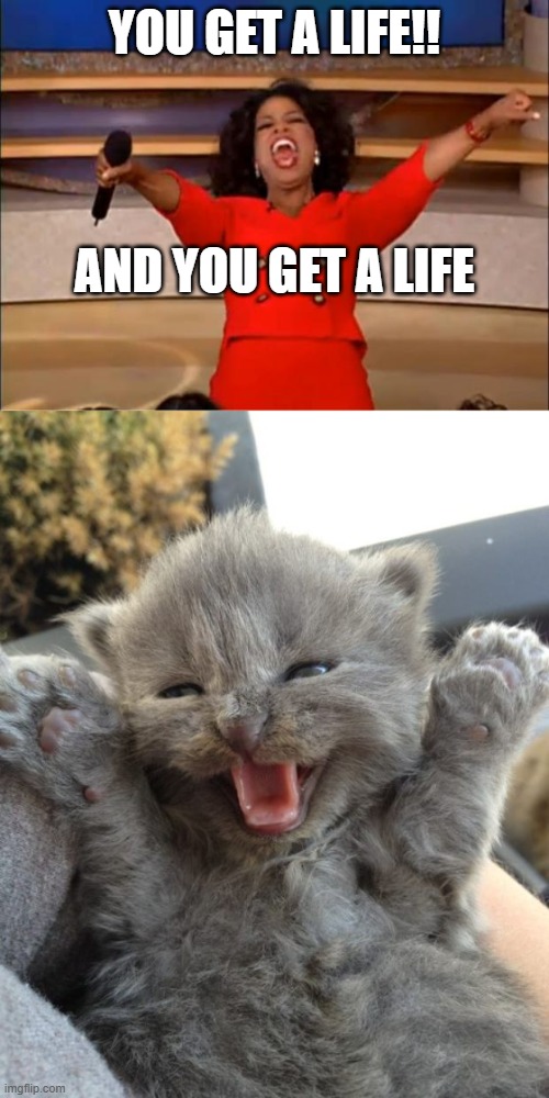 YOU GET A LIFE!! AND YOU GET A LIFE | image tagged in memes,oprah you get a,yay kitty | made w/ Imgflip meme maker