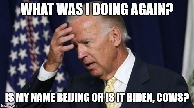 Error 404 - Thought process not found | WHAT WAS I DOING AGAIN? IS MY NAME BEIJING OR IS IT BIDEN, COWS? | image tagged in joe biden worries | made w/ Imgflip meme maker