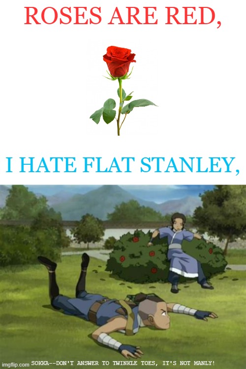 I am not hating on Flat Stanley, I only did that for the purpose of this meme | ROSES ARE RED, I HATE FLAT STANLEY, SOKKA--DON'T ANSWER TO TWINKLE TOES, IT'S NOT MANLY! | image tagged in blank white template,atla,avatar the last airbender,roses are red | made w/ Imgflip meme maker