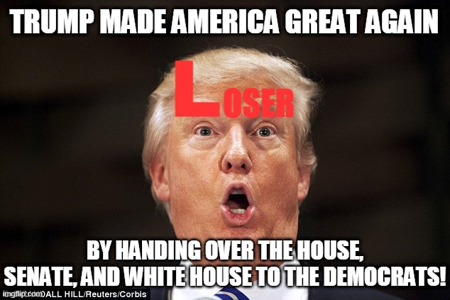 trump-tard truly made america great again - by losing bigliest! | TRUMP MADE AMERICA GREAT AGAIN; L; OSER; BY HANDING OVER THE HOUSE, SENATE, AND WHITE HOUSE TO THE DEMOCRATS! | image tagged in trumptard | made w/ Imgflip meme maker