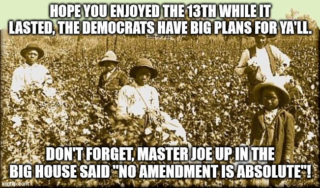 cotton slaves | HOPE YOU ENJOYED THE 13TH WHILE IT LASTED, THE DEMOCRATS HAVE BIG PLANS FOR YA'LL. DON'T FORGET, MASTER JOE UP IN THE BIG HOUSE SAID "NO AMENDMENT IS ABSOLUTE"! | image tagged in cotton slaves | made w/ Imgflip meme maker