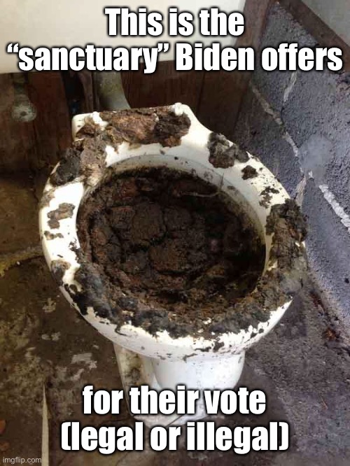 toilet | This is the “sanctuary” Biden offers for their vote (legal or illegal) | image tagged in toilet | made w/ Imgflip meme maker