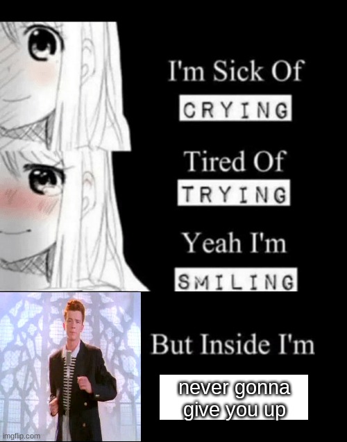 I'm Sick Of Crying | never gonna give you up | image tagged in i'm sick of crying | made w/ Imgflip meme maker