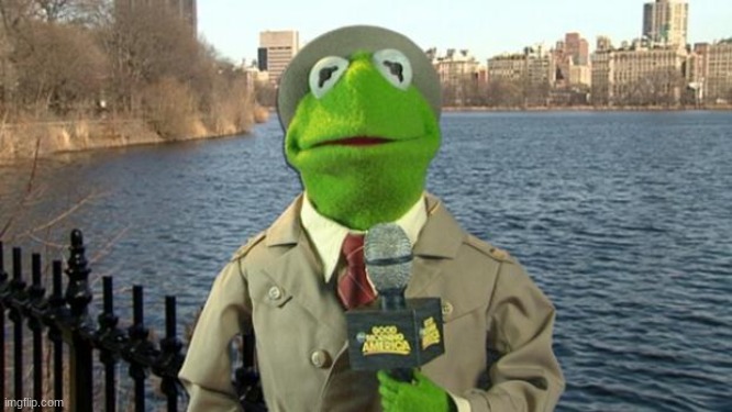Kermit News Report | image tagged in kermit news report | made w/ Imgflip meme maker
