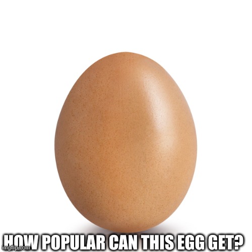 Egg | HOW POPULAR CAN THIS EGG GET? | image tagged in egg | made w/ Imgflip meme maker