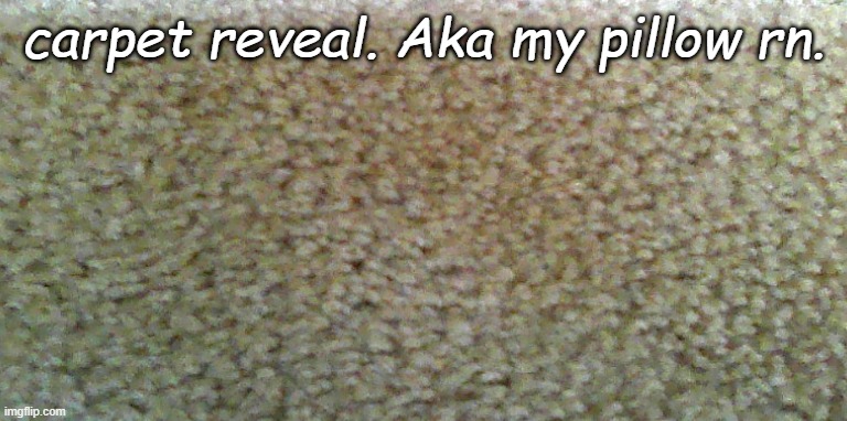 carpet reveal. Aka my pillow rn. | made w/ Imgflip meme maker