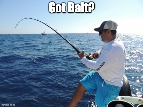 fishing  | Got Bait? | image tagged in fishing | made w/ Imgflip meme maker