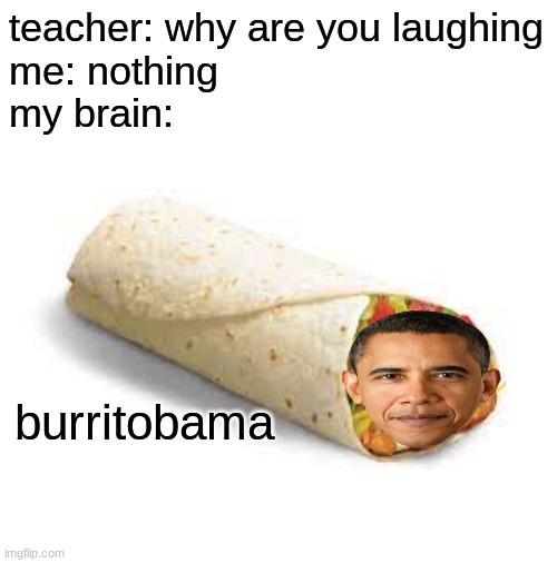 teacher: why are you laughing
me: nothing
my brain:; burritobama | image tagged in blank white template | made w/ Imgflip meme maker