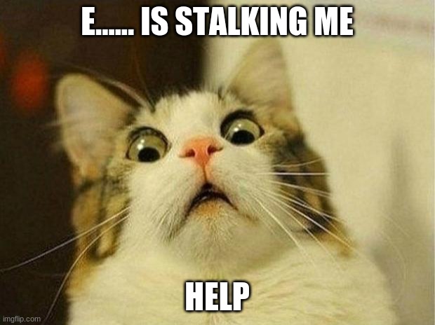 Scared Cat Meme | E...... IS STALKING ME; HELP | image tagged in memes,scared cat | made w/ Imgflip meme maker