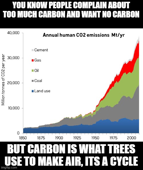 Not to mention it was hotter in the Middle Ages than now, when there were no cars and stuff like that | YOU KNOW PEOPLE COMPLAIN ABOUT TOO MUCH CARBON AND WANT NO CARBON; BUT CARBON IS WHAT TREES USE TO MAKE AIR, ITS A CYCLE | image tagged in co2 emissions by year,air,trees | made w/ Imgflip meme maker