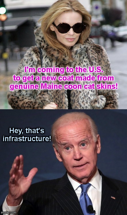 Kylie wants new winter wear | I'm coming to the U.S. to get a new coat made from genuine Maine coon cat skins! Hey, that's infrastructure! | image tagged in biden hey that's infrastructure,kylie minogue,fur coats,scumbag celebrities,biden lies,political humor | made w/ Imgflip meme maker
