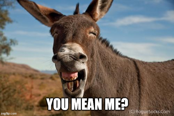 Donkey Jackass Braying | YOU MEAN ME? | image tagged in donkey jackass braying | made w/ Imgflip meme maker