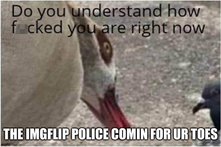 Do you understand how ducked you are right now | THE IMGFLIP POLICE COMIN FOR UR TOES | image tagged in do you understand how ducked you are right now | made w/ Imgflip meme maker