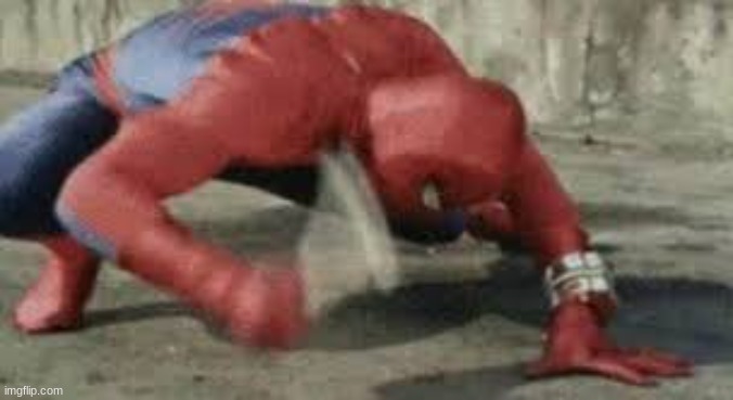 Spiderman hitting button | image tagged in spiderman hitting button | made w/ Imgflip meme maker