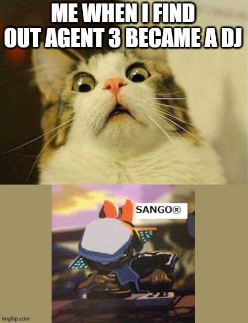 DJ WHO NOW? | ME WHEN I FIND OUT AGENT 3 BECAME A DJ | image tagged in scared cat | made w/ Imgflip meme maker