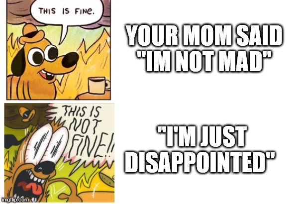 This is Fine, This is Not Fine | YOUR MOM SAID "IM NOT MAD"; "I'M JUST DISAPPOINTED" | image tagged in this is fine this is not fine | made w/ Imgflip meme maker